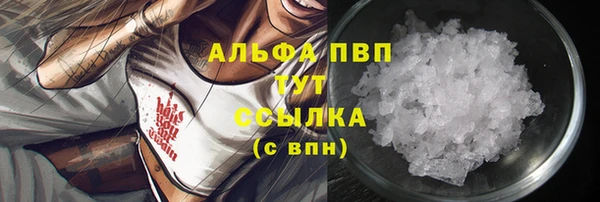 сатива Балахна