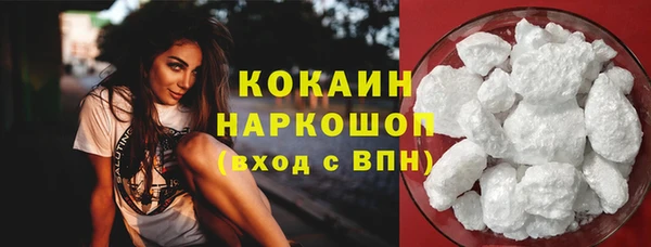 сатива Балахна
