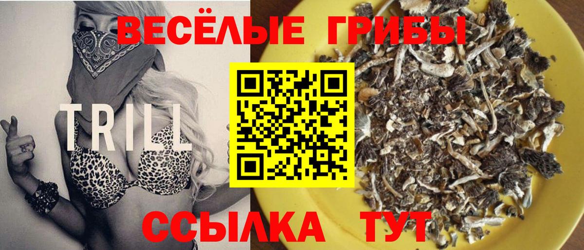 Буйнакск  Галлюциногенные грибы Magic Shrooms  Вход с VPN  Галлюциногенные грибы ЛСД 